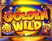 Golden Wild Golden Wild
