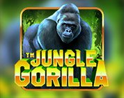 Jungle Gorilla Jungle Gorilla