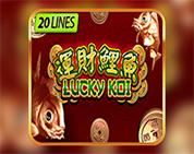 Lucky Koi Lucky Koi